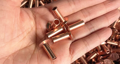 Paku keling tembaga dikirim ke Eropa